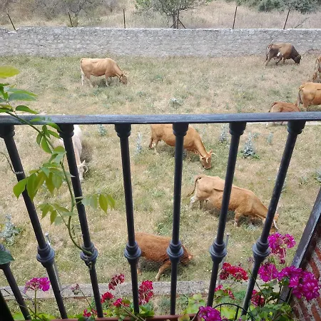 Casa De Las Lavandas Semesterbostad *