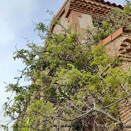 Casa De Las Lavandas * Ávila